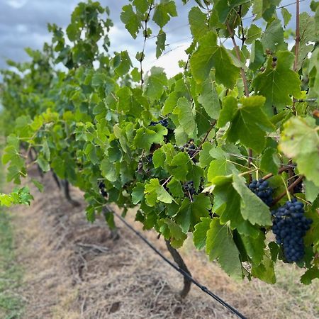 Bracken Ridge Vineyard The Entire Estate Rothbury Ngoại thất bức ảnh